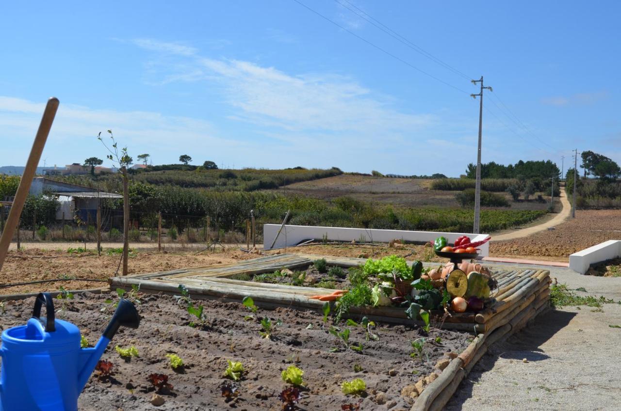فيلا Entre Vinhas & Mar Óbidos المظهر الخارجي الصورة
