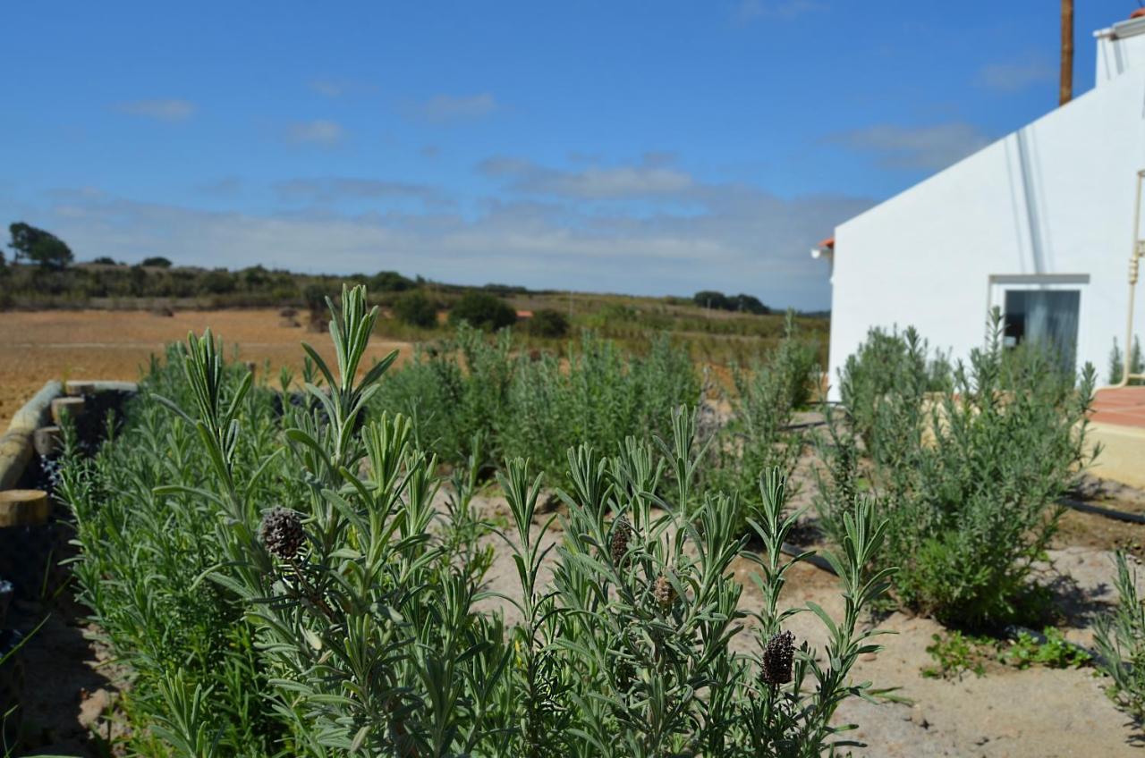 فيلا Entre Vinhas & Mar Óbidos المظهر الخارجي الصورة