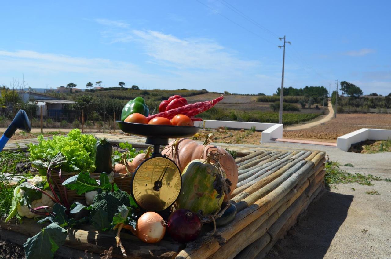 فيلا Entre Vinhas & Mar Óbidos المظهر الخارجي الصورة